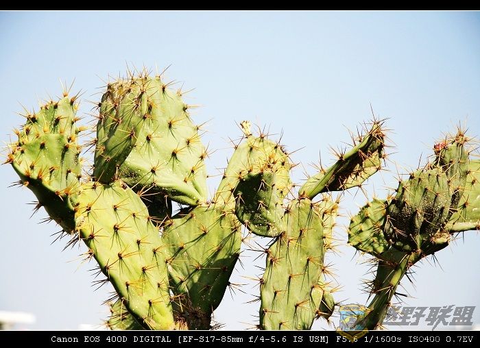 07.11.20��Ƭ 012.jpg