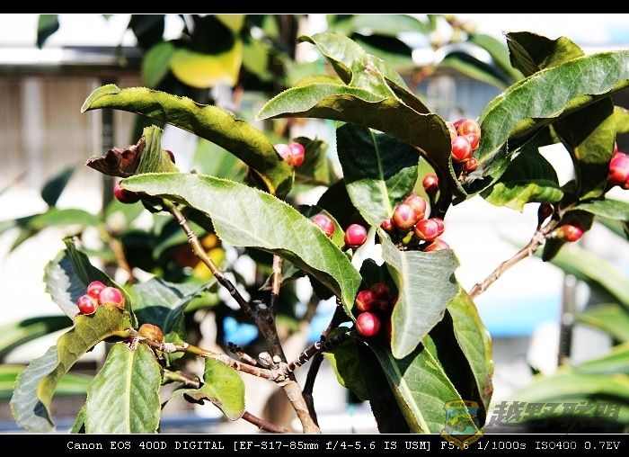 07.11.20��Ƭ 015.jpg