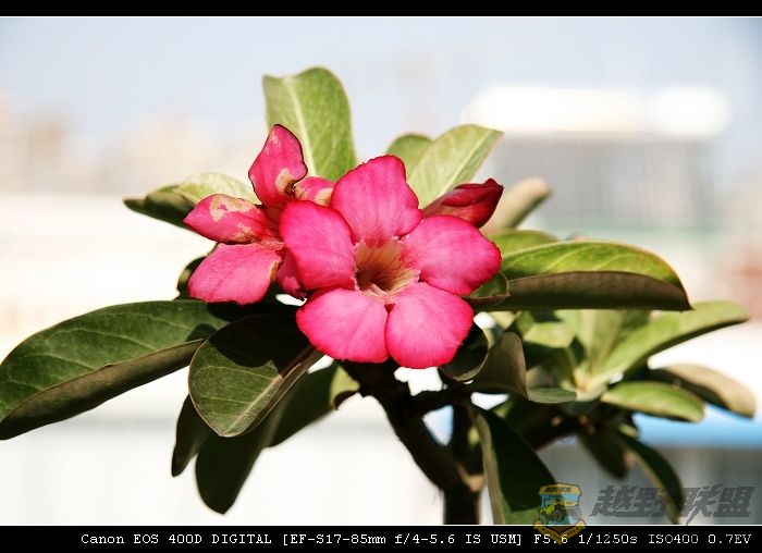 07.11.20��Ƭ 018.jpg