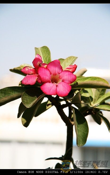 07.11.20��Ƭ 019.jpg