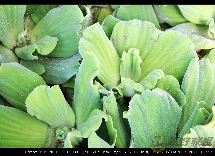 07.11.20��Ƭ 021.jpg