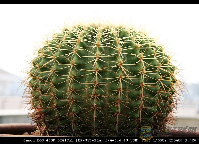 07.11.20��Ƭ 022.jpg