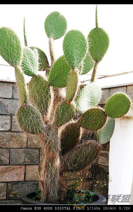 07.11.20��Ƭ 024.jpg