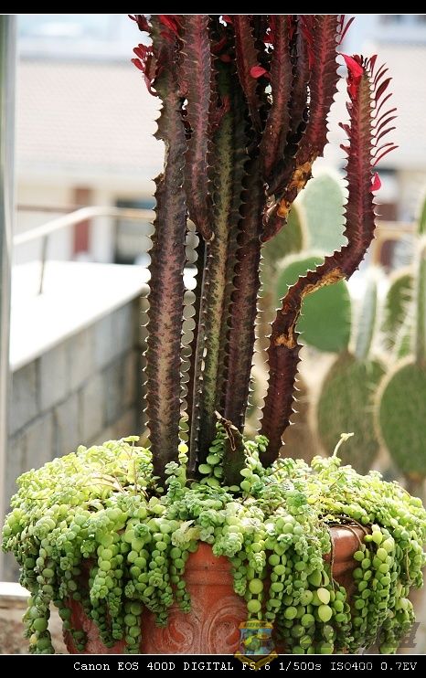 07.11.20��Ƭ 030.jpg