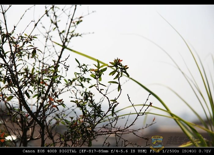 07.11.20��Ƭ 033.jpg