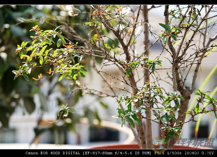 07.11.20��Ƭ 034.jpg