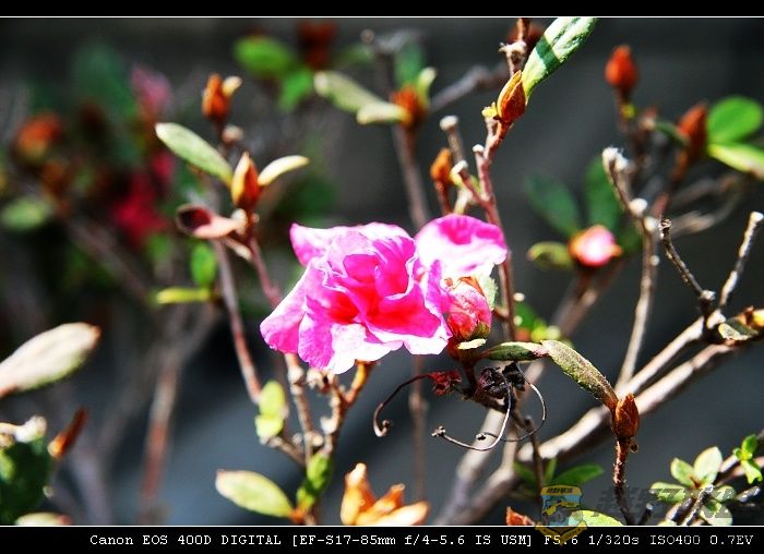 07.11.20��Ƭ 035.jpg