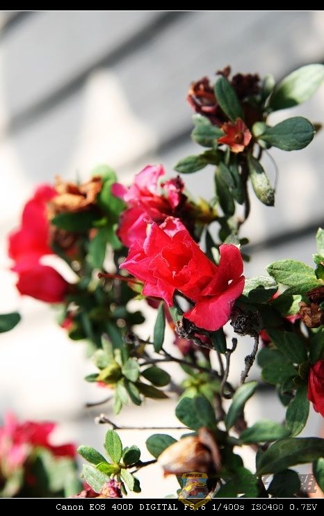 07.11.20��Ƭ 037.jpg