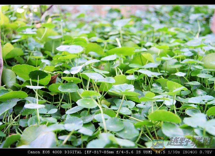 07.11.20��Ƭ 045.jpg