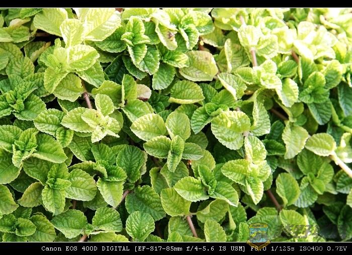 07.11.20��Ƭ 044.jpg