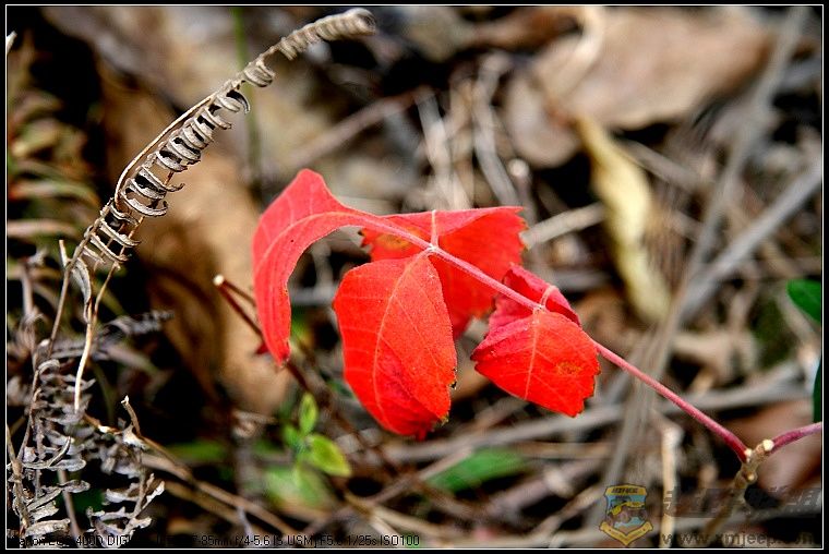 07.11.26��Ƭ 124.jpg