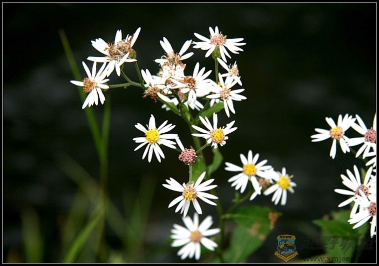 07.11.26��Ƭ 129.jpg