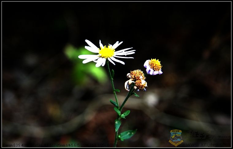 07.11.26��Ƭ 132.jpg