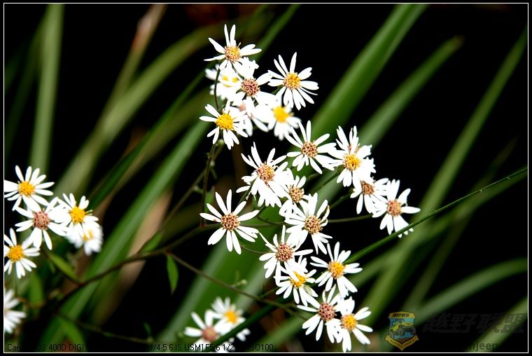 07.11.26��Ƭ 133.jpg