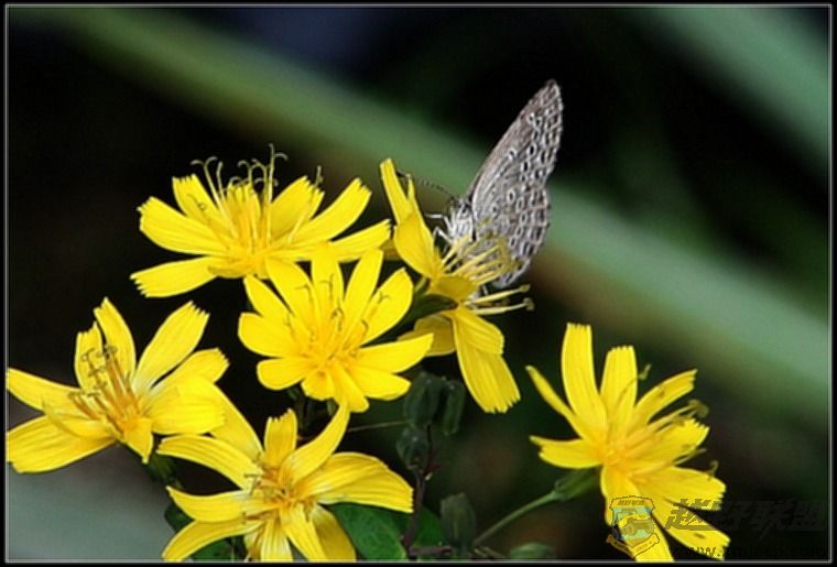 07.11.26��Ƭ 136.jpg