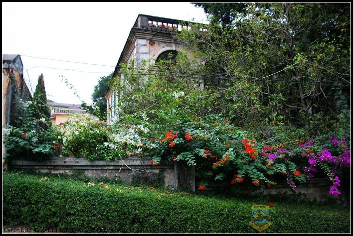 ������ 040.jpg