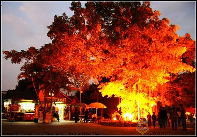 ������ 061.jpg